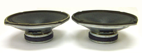 CTS(ｼｰ･ﾃｨｰ･ｴｽ) 6インチスコーカーユニット